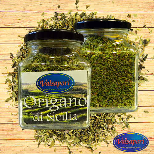 origano-siciliano-vasetto